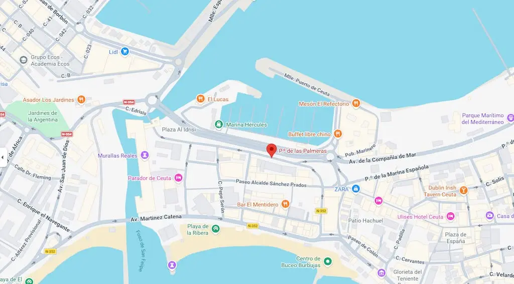 plano palmeras